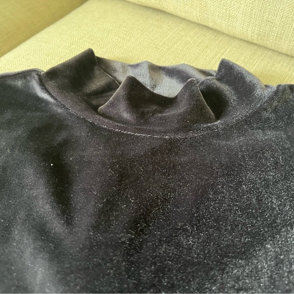 Loft Velvet Mock Turtleneck - Picture 5 of 15